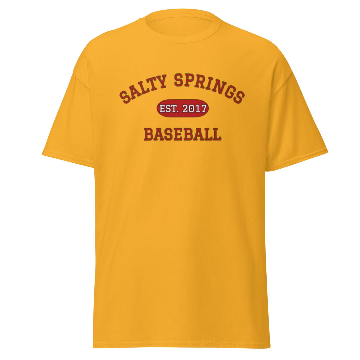 Salty Springs Baseball Tee