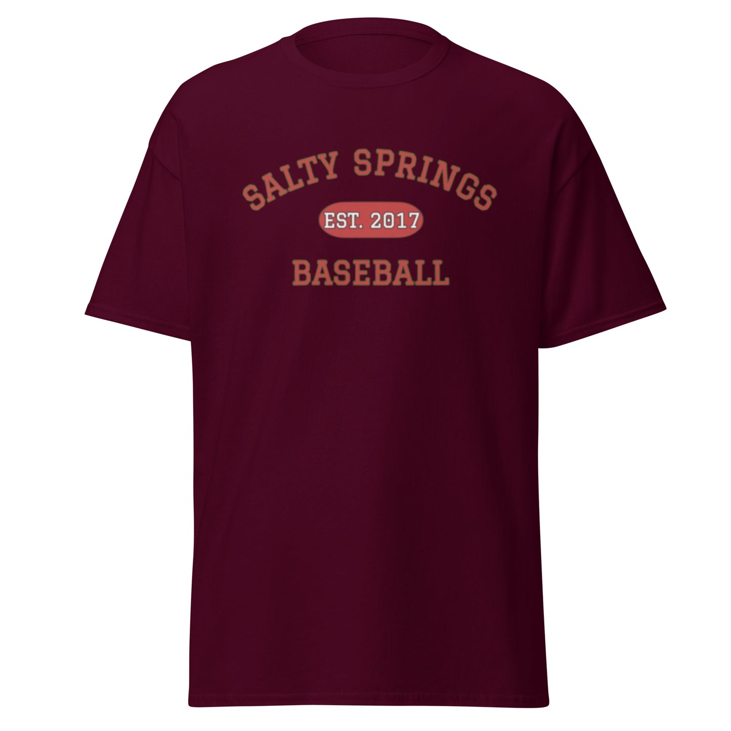 Salty Springs Baseball Tee