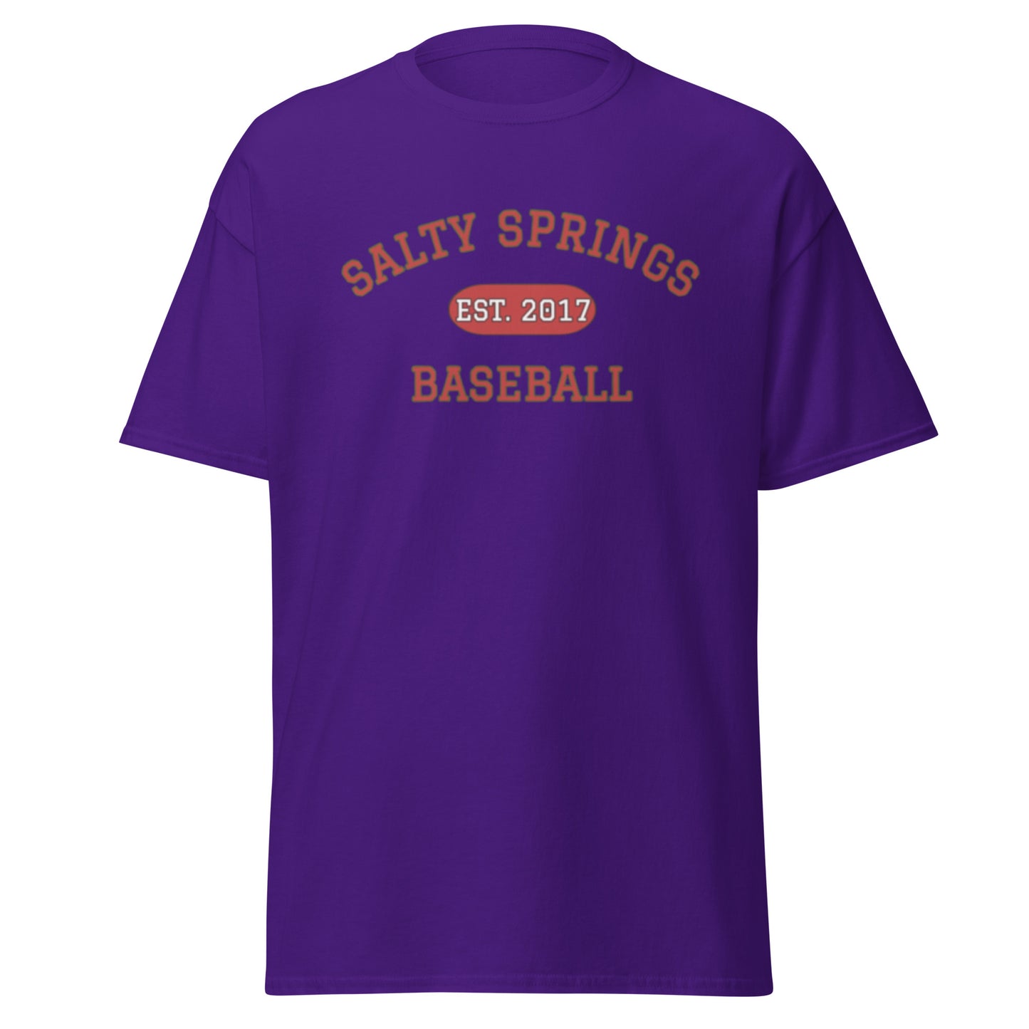 Salty Springs Baseball Tee