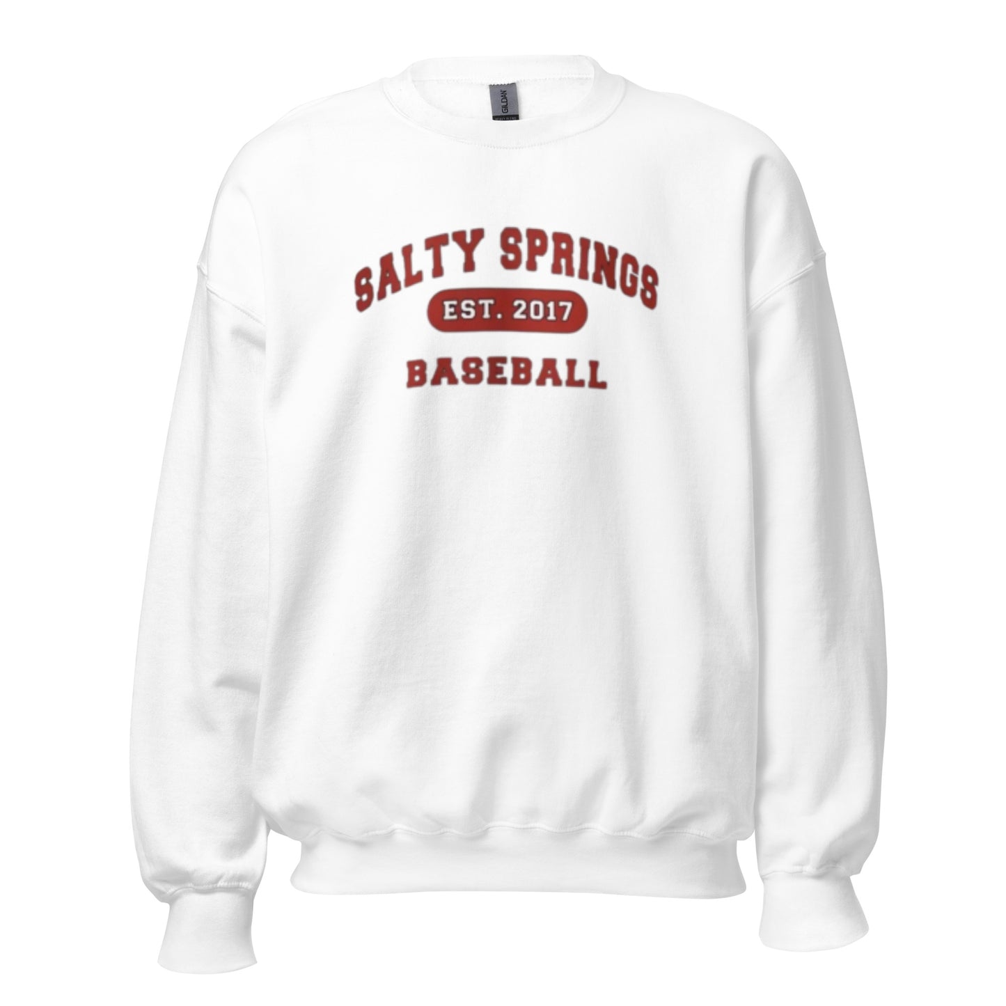 Salty Springs Baseball Sweatshirt