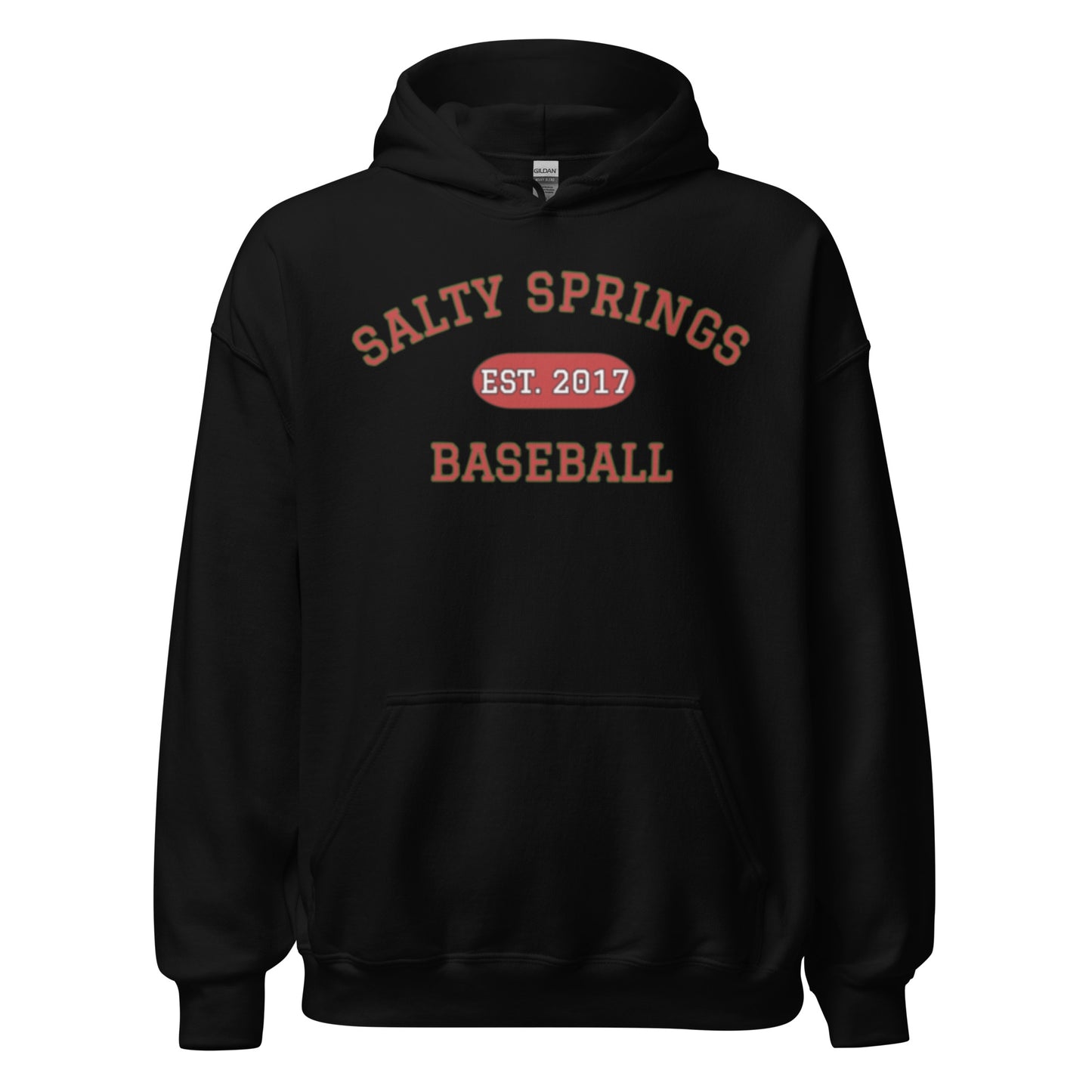 Salty Springs Baseball Hoodie