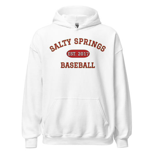 Salty Springs Baseball Hoodie